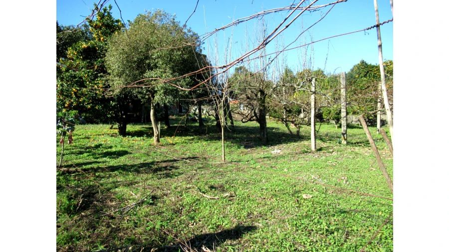Negócio para Venda em Vilar de Andorinho Foto 25