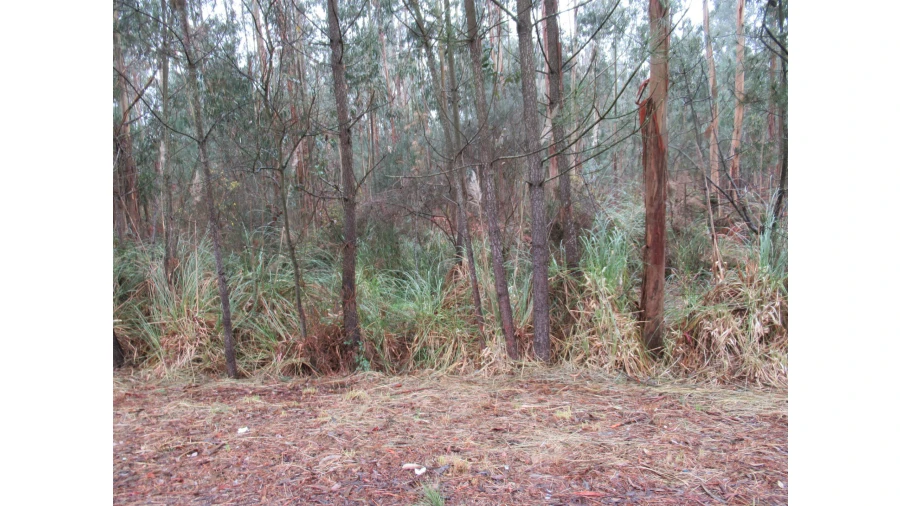 Terreno para Venda em Serzedo e Perosinho Foto 1