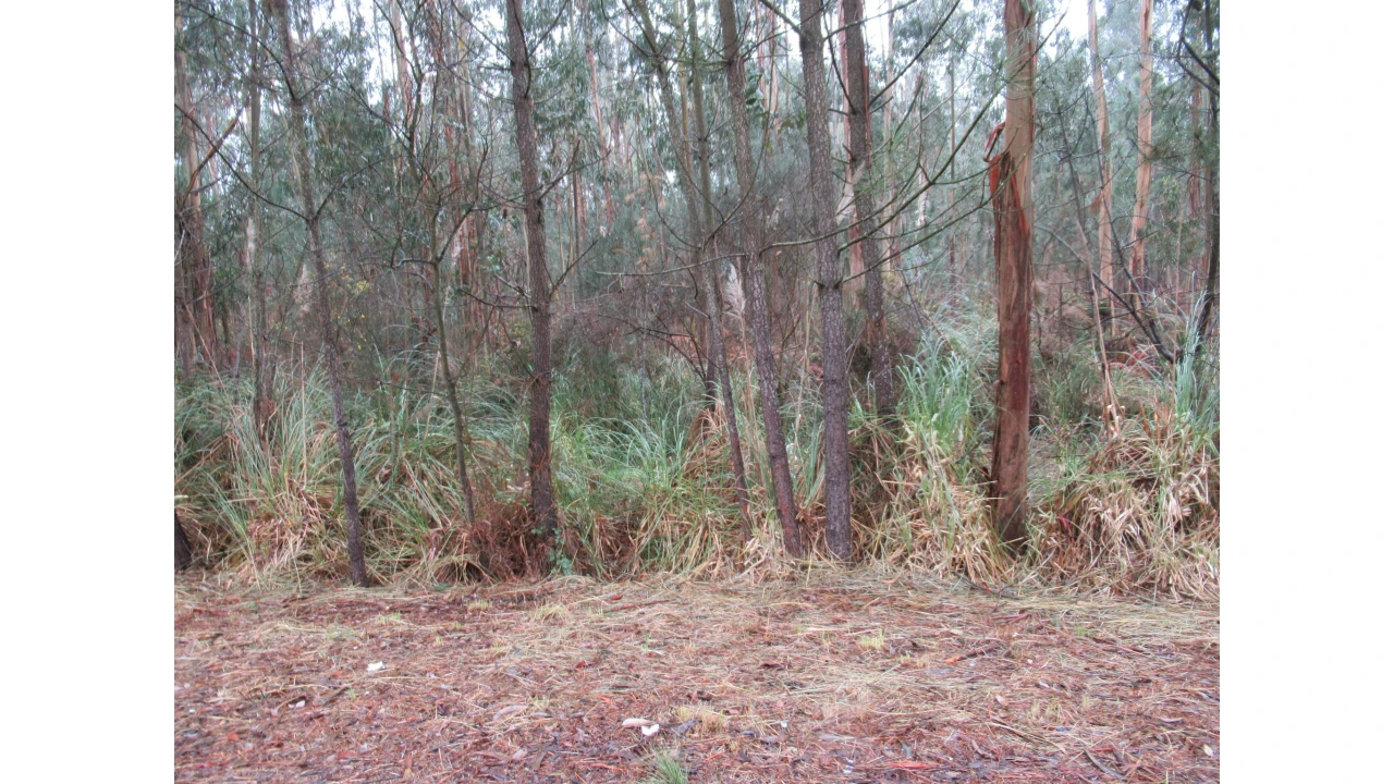 Terreno para Venda em Serzedo e Perosinho Foto 1