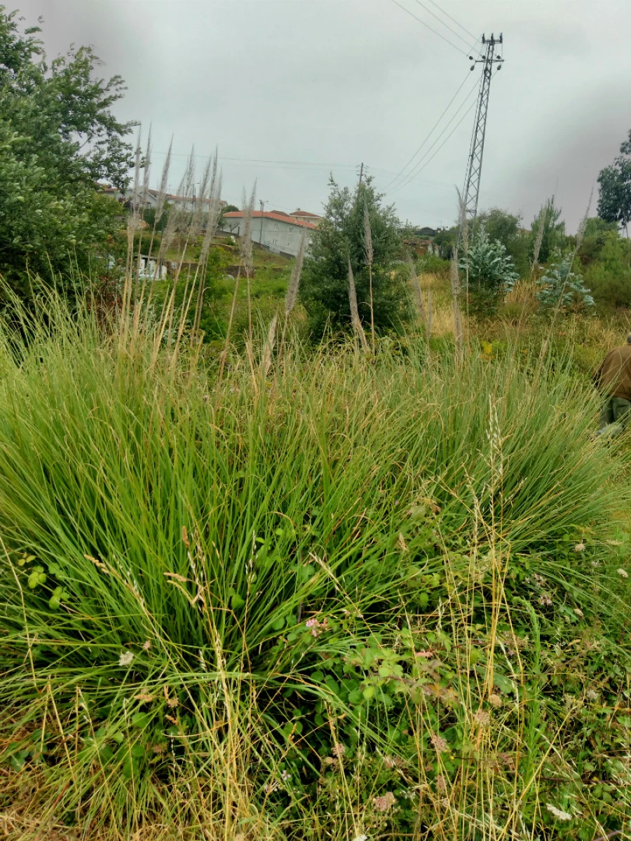 Terreno para Venda em Sandim, Olival, Lever e Crestuma