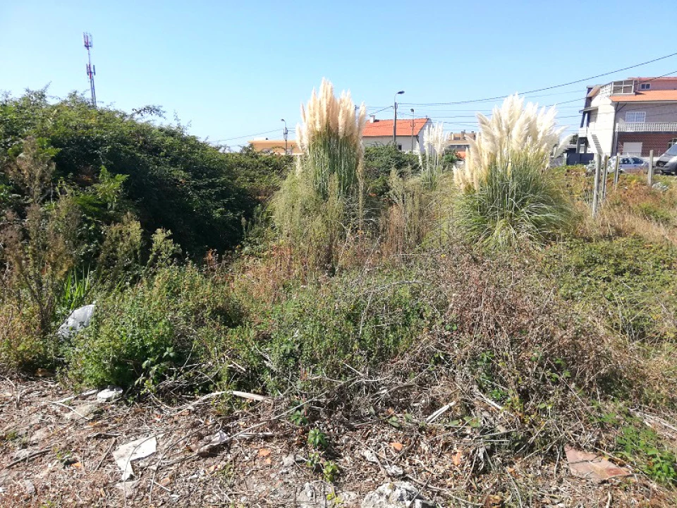 Terreno para Venda em Canidelo Foto 8