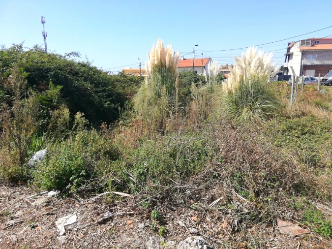 Terreno para Venda em Canidelo Foto 8