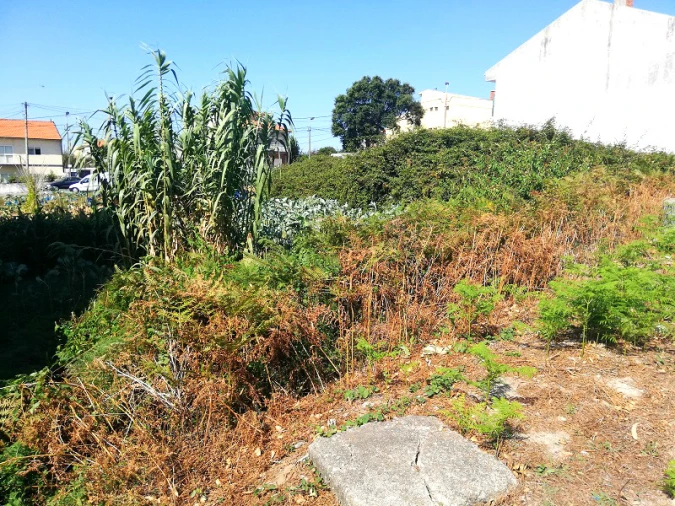 Terreno para Venda em Canidelo Foto 5