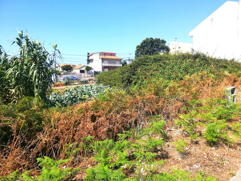 Terreno para Venda em Canidelo Foto 6