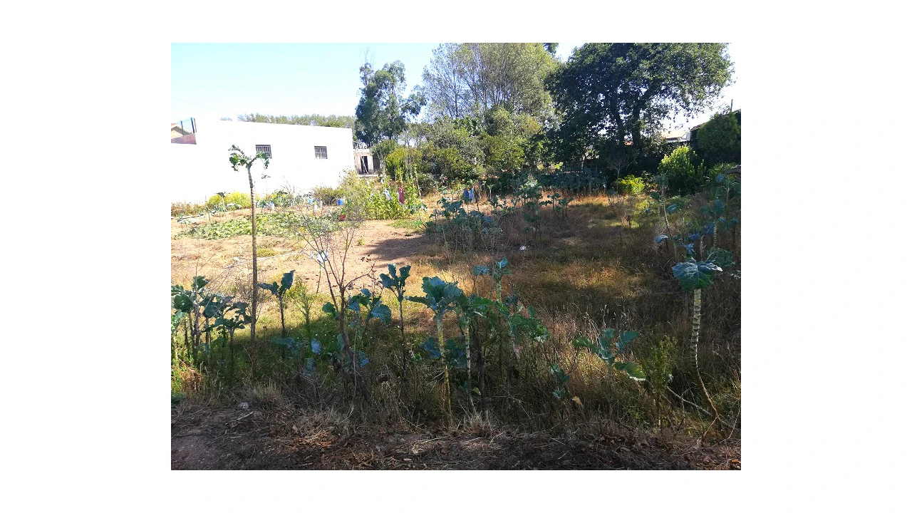 Terreno para Venda em Canidelo Foto 5
