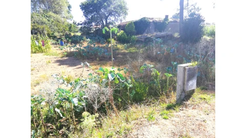 Terreno para Venda em Canidelo
