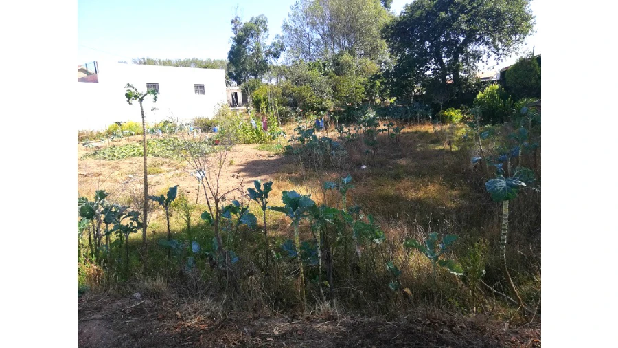 Terreno para Venda em Canidelo Foto 5