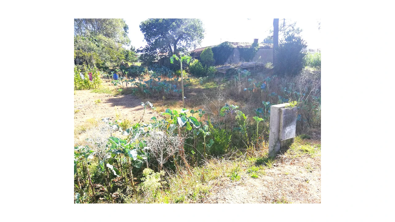 Terreno para Venda em Canidelo Foto 4