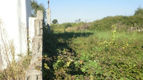 Terreno para Venda em Grijó e Sermonde