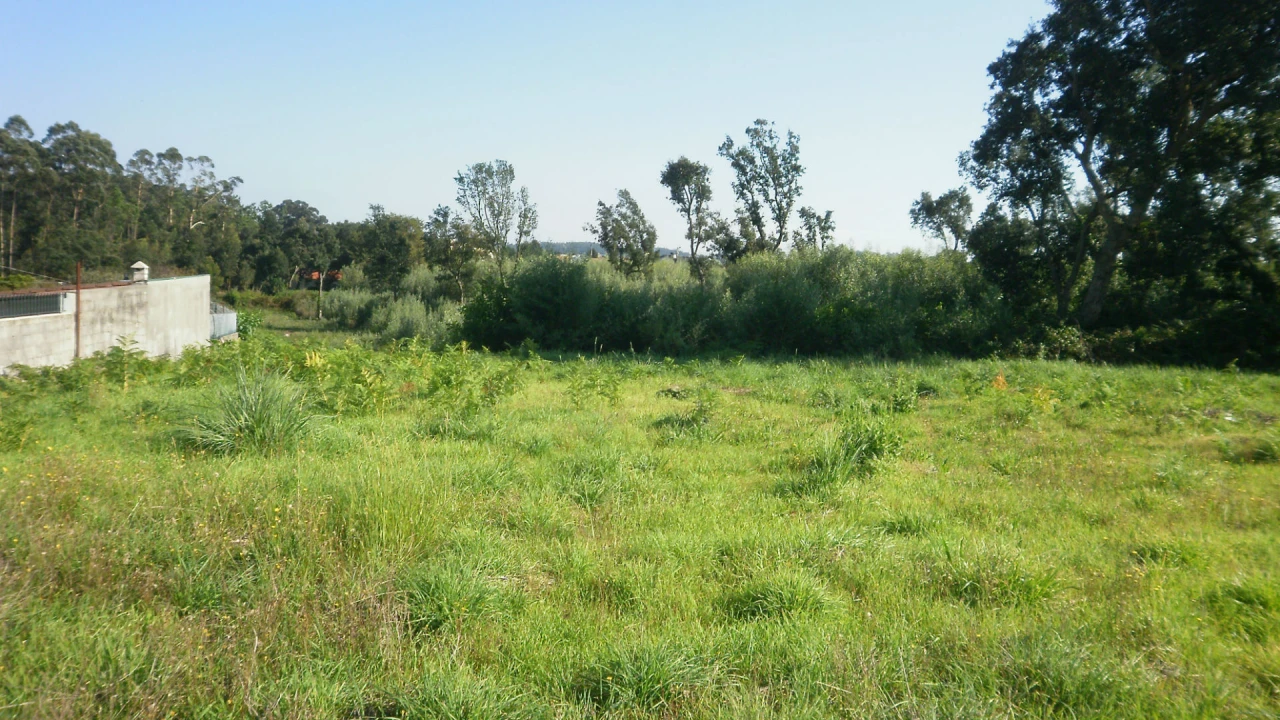 Terreno para Venda em Grijó e Sermonde Foto 4
