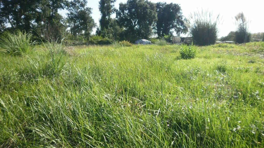 Terreno para Venda em Grijó e Sermonde Foto 9