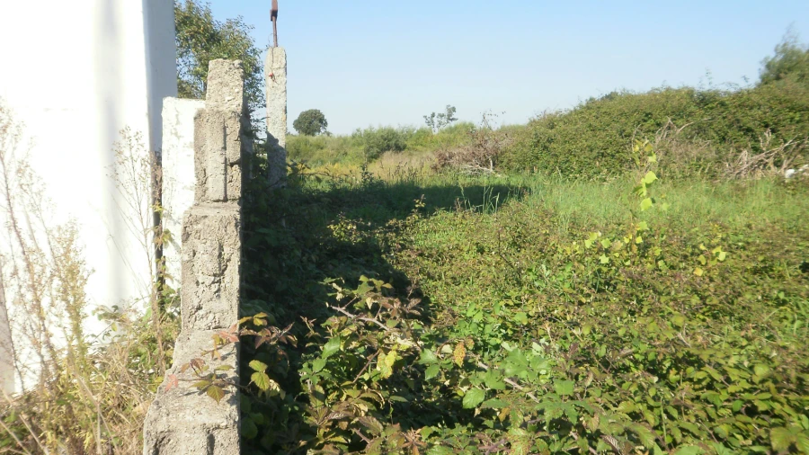 Terreno para Venda em Grijó e Sermonde Foto 12