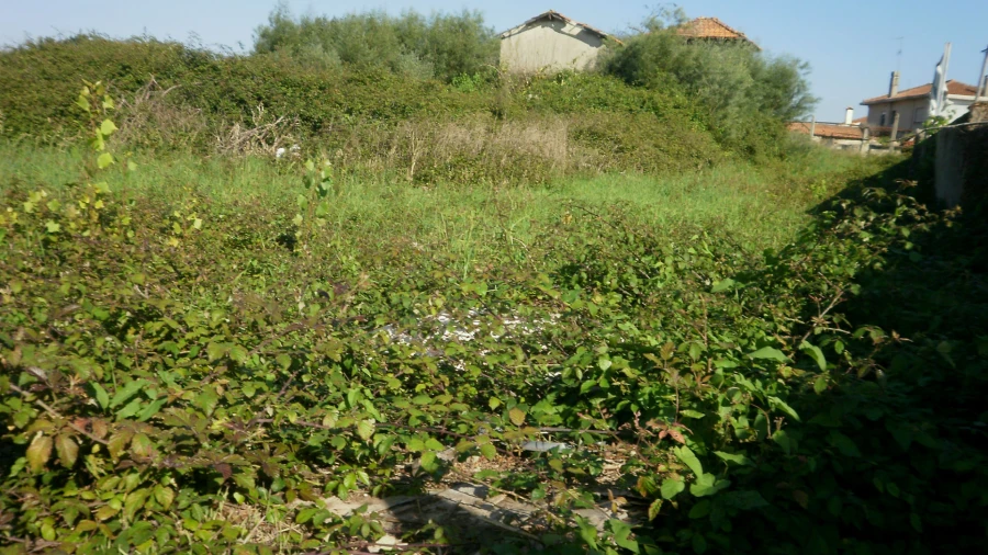 Terreno para Venda em Grijó e Sermonde Foto 8