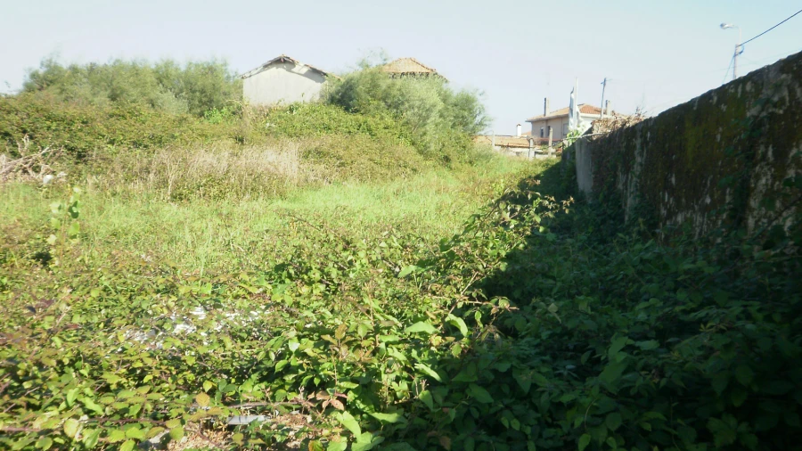 Terreno para Venda em Grijó e Sermonde Foto 10