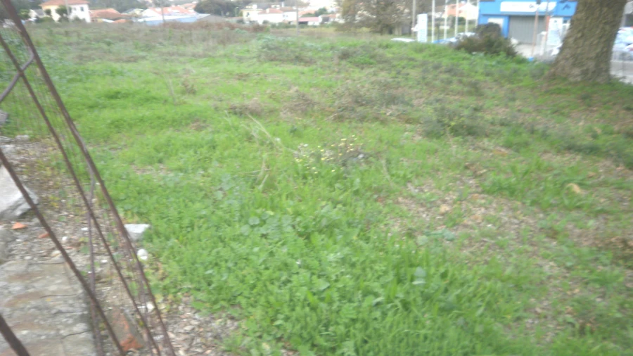 Terreno para Venda em Pedroso e Seixezelo Foto 4
