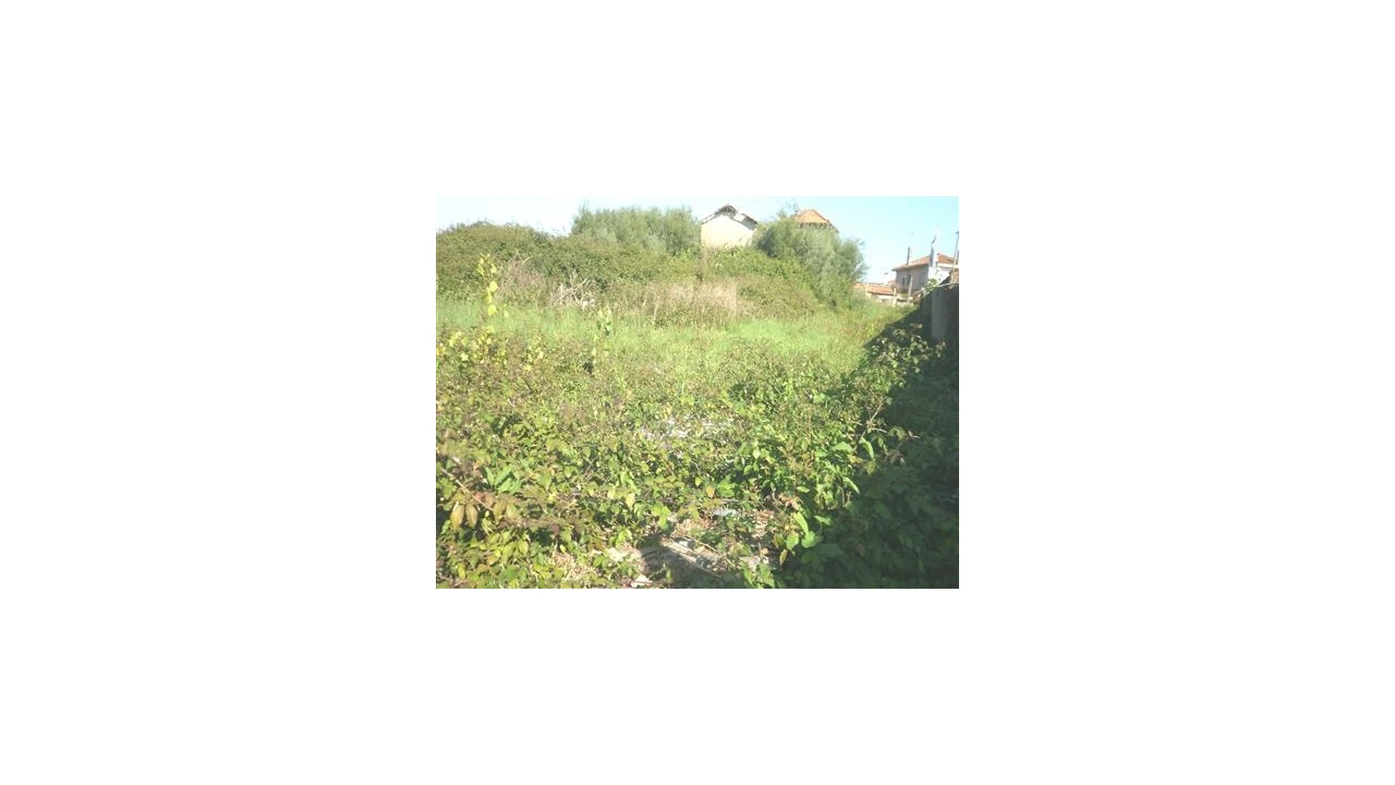 Terreno para Venda em Pedroso e Seixezelo Foto 12