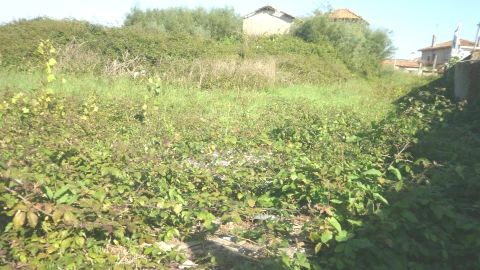 Terreno para Venda em Pedroso e Seixezelo