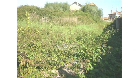 Terreno para Venda em Pedroso e Seixezelo
