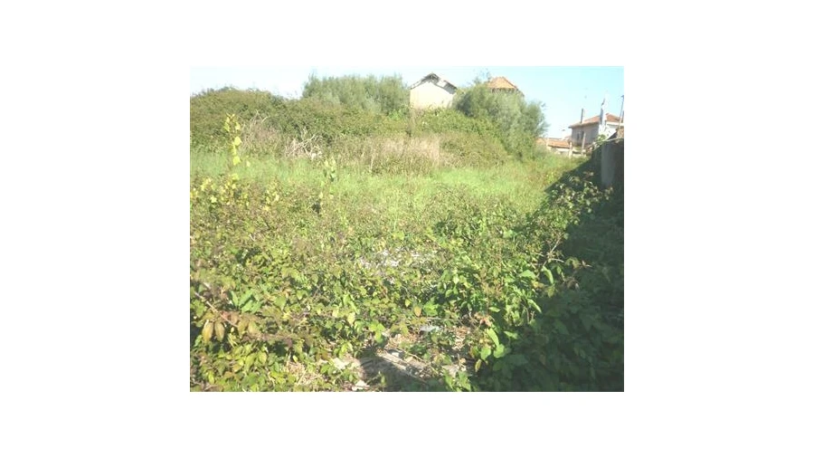 Terreno para Venda em Pedroso e Seixezelo Foto 8