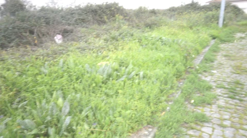 Terreno para Venda em Argoncilhe