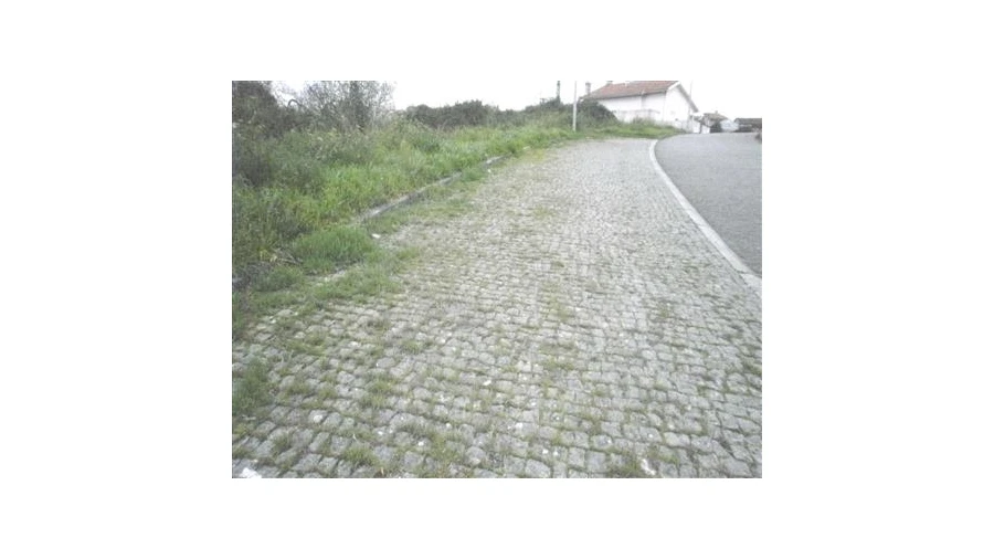 Terreno para Venda em Argoncilhe Foto 6