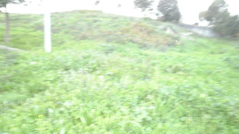 Terreno para Venda em Argoncilhe