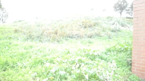 Terreno para Venda em Argoncilhe