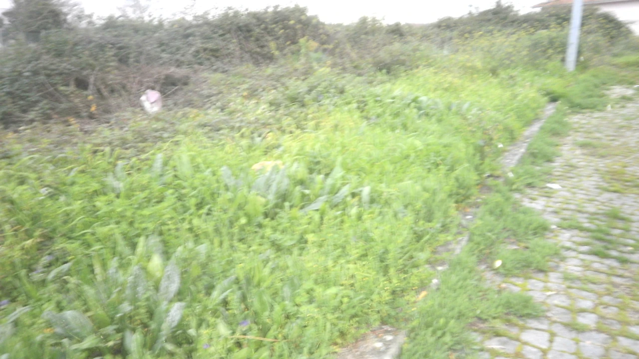 Terreno para Venda em Argoncilhe Foto 6