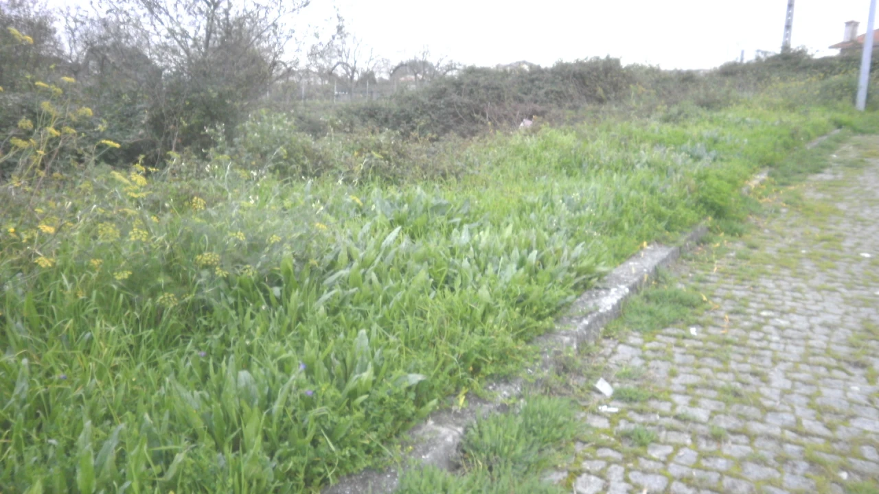 Terreno para Venda em Argoncilhe Foto 5