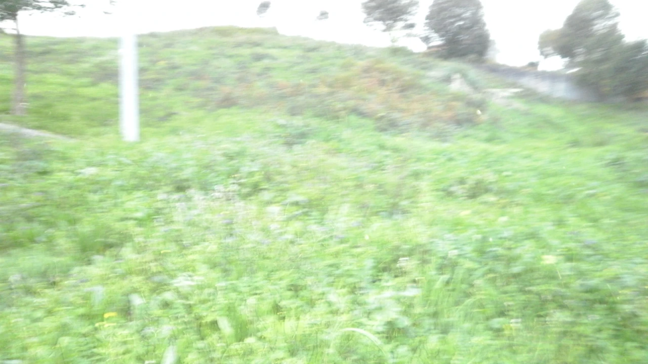 Terreno para Venda em Argoncilhe Foto 5