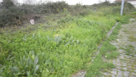 Terreno para Venda em Argoncilhe