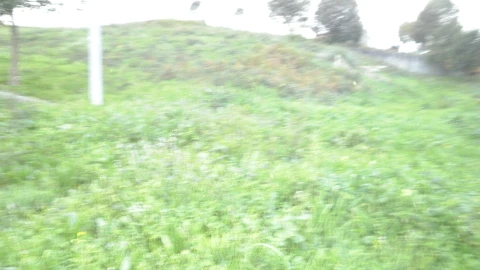 Terreno para Venda em Argoncilhe