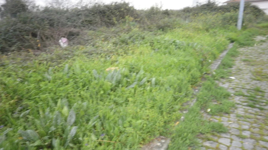 Terreno para Venda em Argoncilhe Foto 7