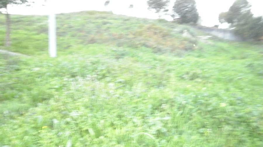 Terreno para Venda em Argoncilhe Foto 5