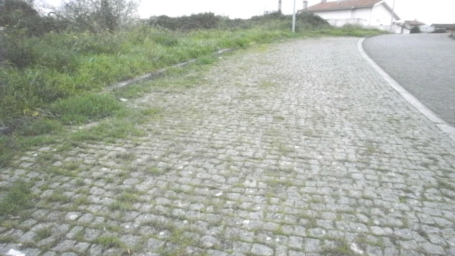Terreno para Venda em Argoncilhe Foto 3