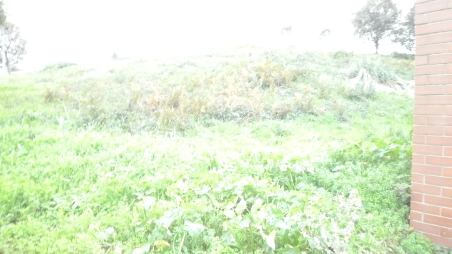 Terreno para Venda em Argoncilhe Foto 4