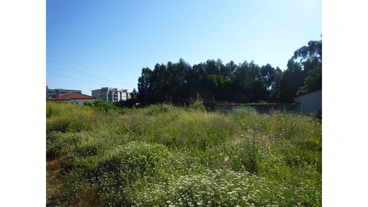 Terreno para Venda em Canelas Foto 2