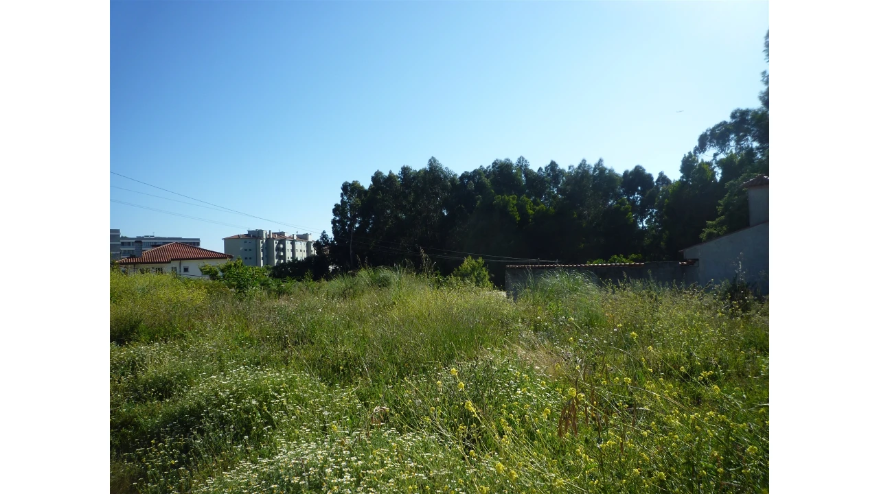 Terreno para Venda em Canelas Foto 4