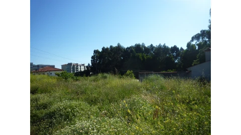 Terreno para Venda em Canelas