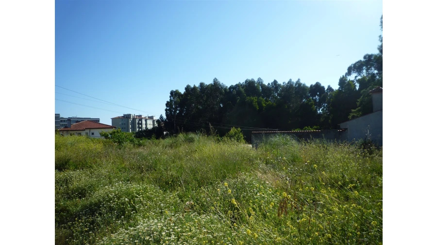 Terreno para Venda em Canelas Foto 4
