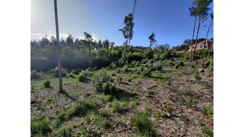Terreno para Venda em Grijó e Sermonde