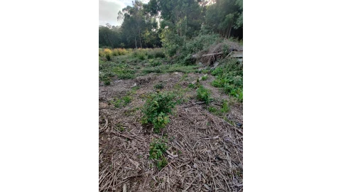 Terreno para Venda em Grijó e Sermonde