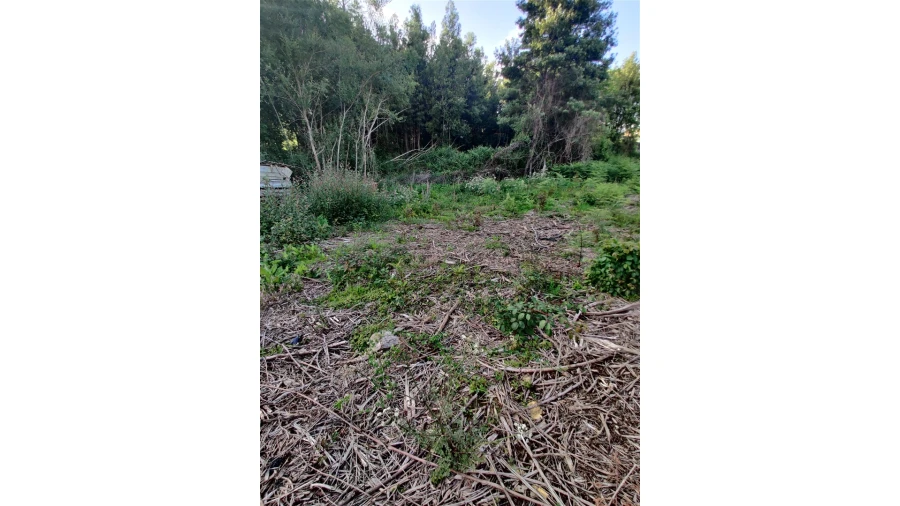 Terreno para Venda em Grijó e Sermonde Foto 8