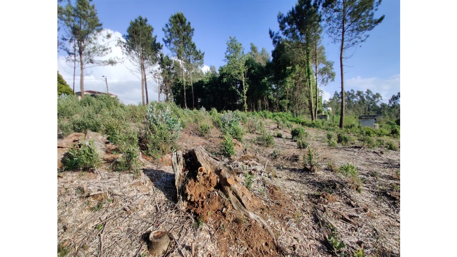 Terreno para Venda em Grijó e Sermonde Foto 4