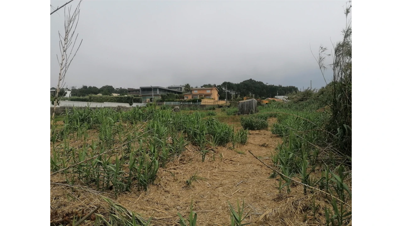 Terreno para Venda em Madalena Foto 15