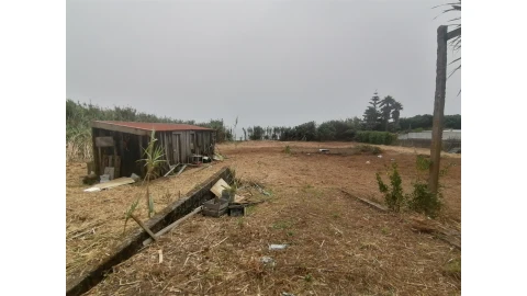 Terreno para Venda em Madalena