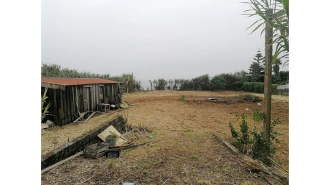Terreno para Venda em Madalena
