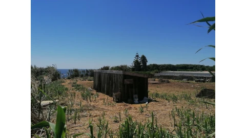 Terreno para Venda em Madalena