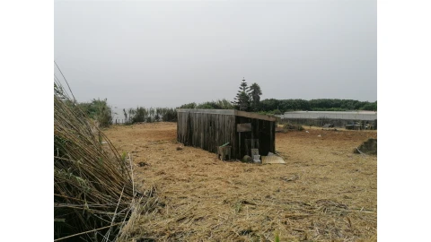 Terreno para Venda em Madalena