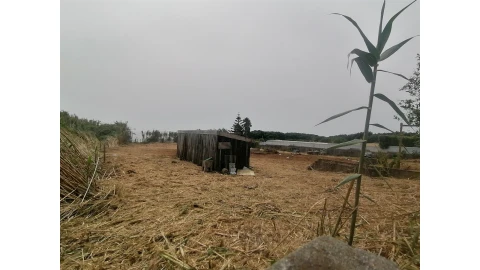 Terreno para Venda em Madalena